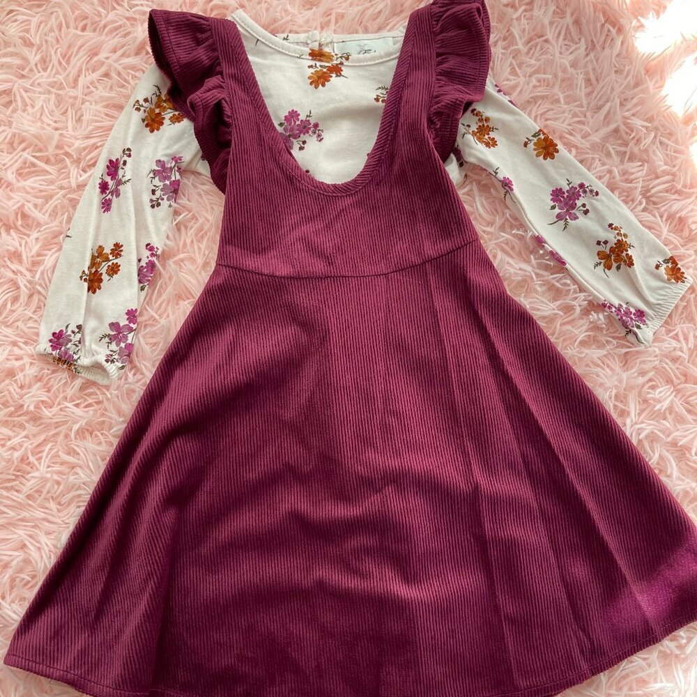 Toddler Girl 2piece set dress and long sleeve shirt